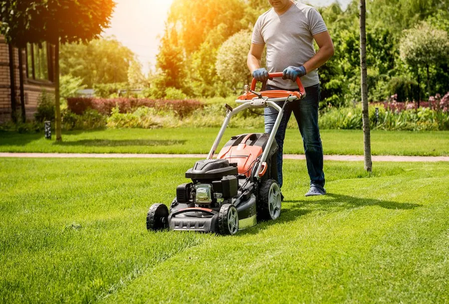 Tenants’ Responsibilities for Summer Landscaping: What You Need to Know